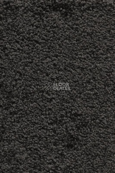 Ковролин AW Devotion 97 фото 1 | FLOORDEALER